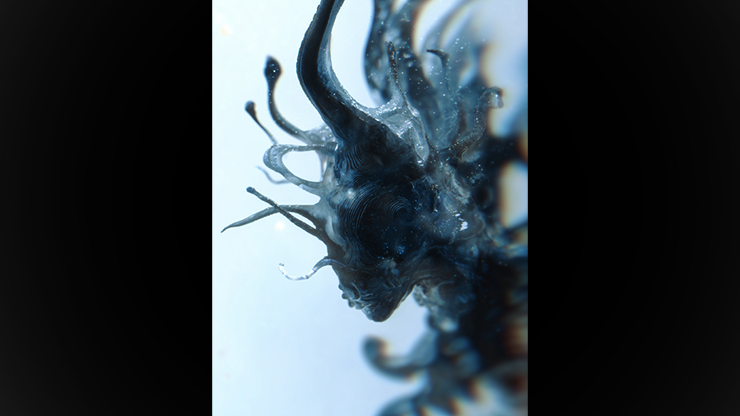 Progeny by Fraser Parker