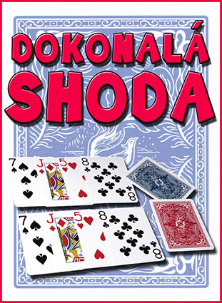 DOKONALÁ SHODA