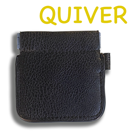 Quiver Plus