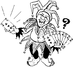 WILD CARD -  BICYCLE